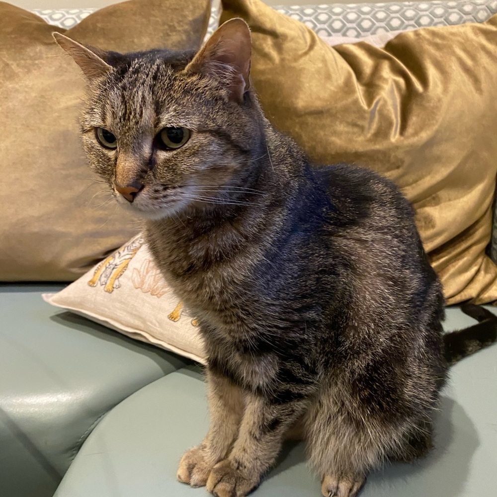 Meet your Posher, Chris